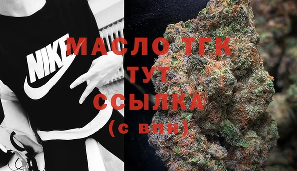 индика Аркадак