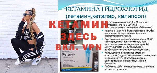 индика Аркадак