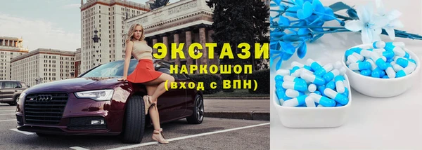 индика Аркадак