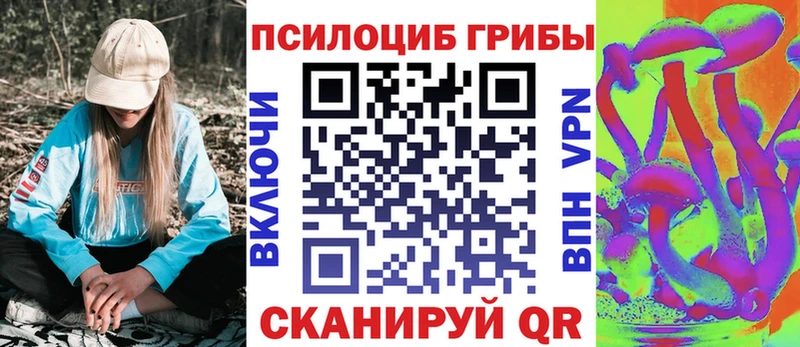 MEGA маркетплейс  Самара  Псилоцибиновые грибы GOLDEN TEACHER  цены  